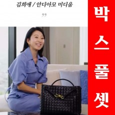 보테가베네타 미디엄 안디아모 백